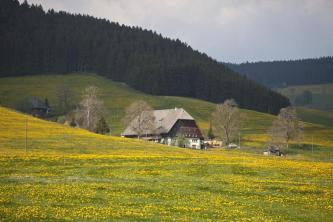 Het Hochschwarzwald: heel veel natuur en traditie