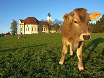 De beroemde Wieskirche in Beieren: UNESCO wereldergoed
