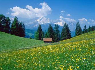 Een groene Alpenweide bij de Zugspitze