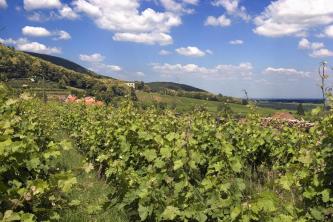 Ludwigshöhe in de wijnbergen van de Pfalz