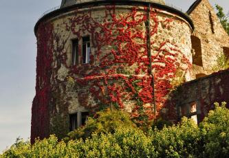 Het kasteel van Doornroosje: de Sababurg bij Göttingen